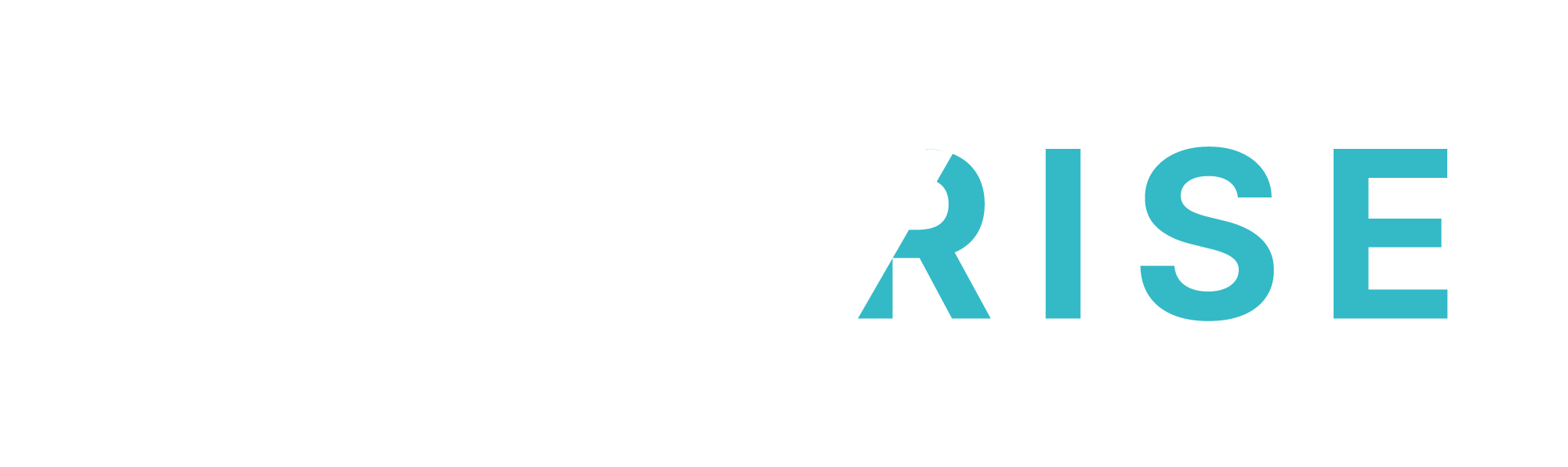 Offerise Logo